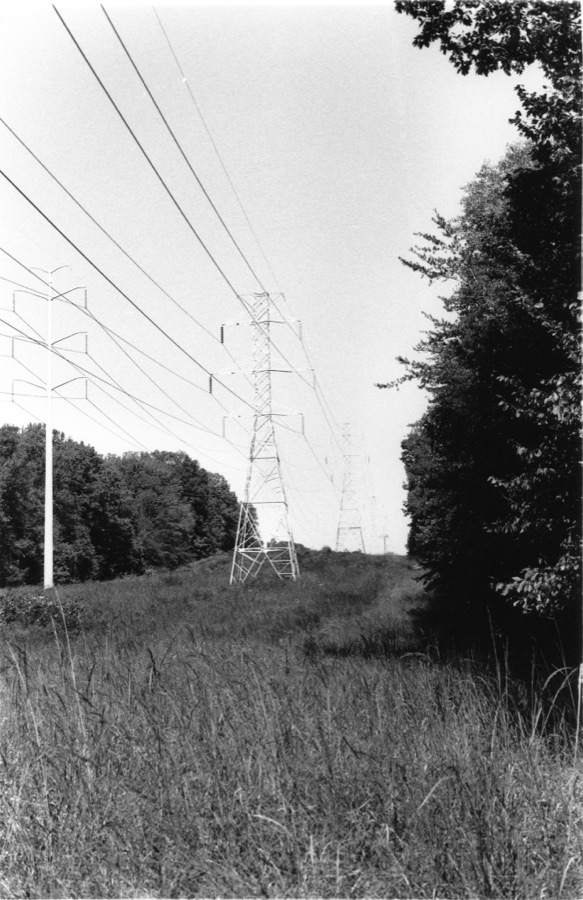 Transmission towers marching away through an overgrown field